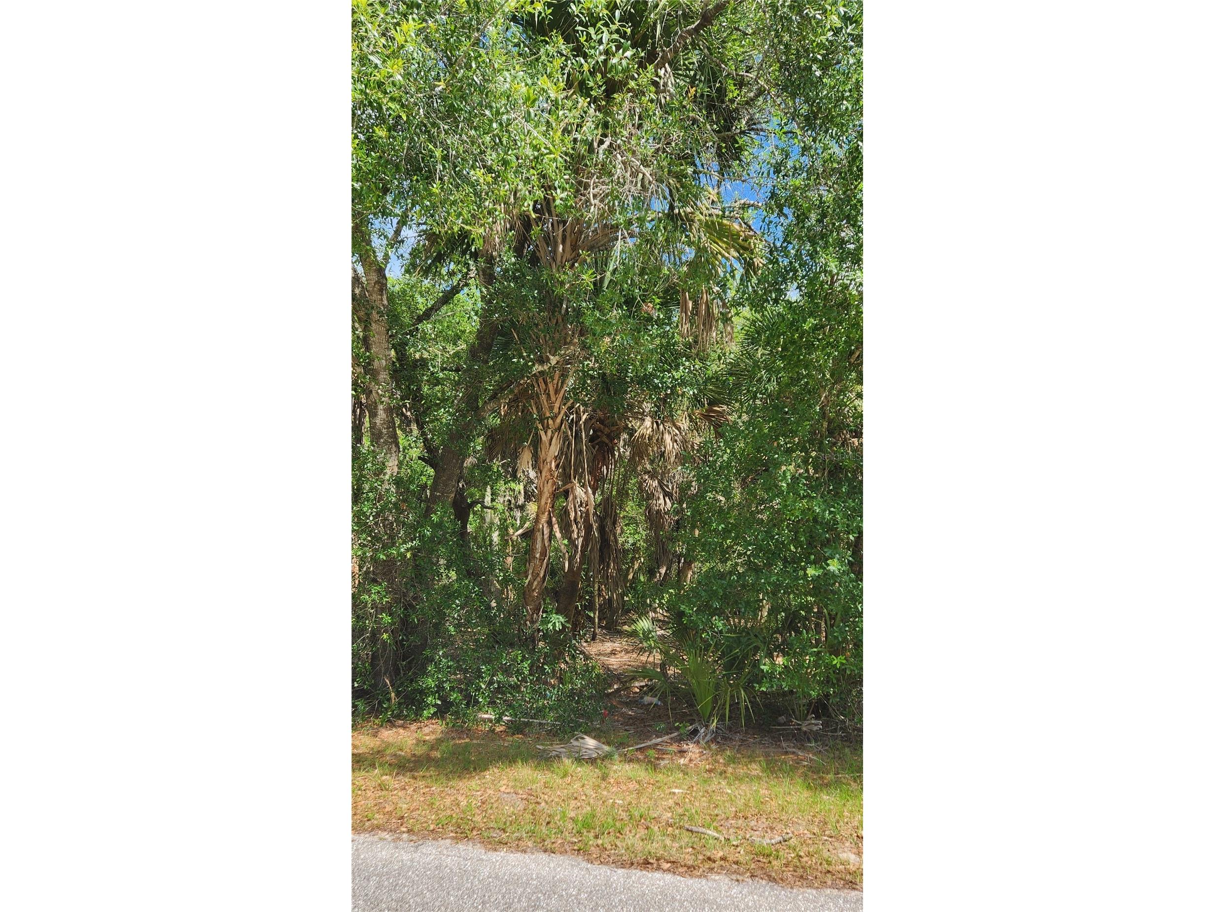 23190 Glen Avenue Punta Gorda FL 33980 C7524719 image2