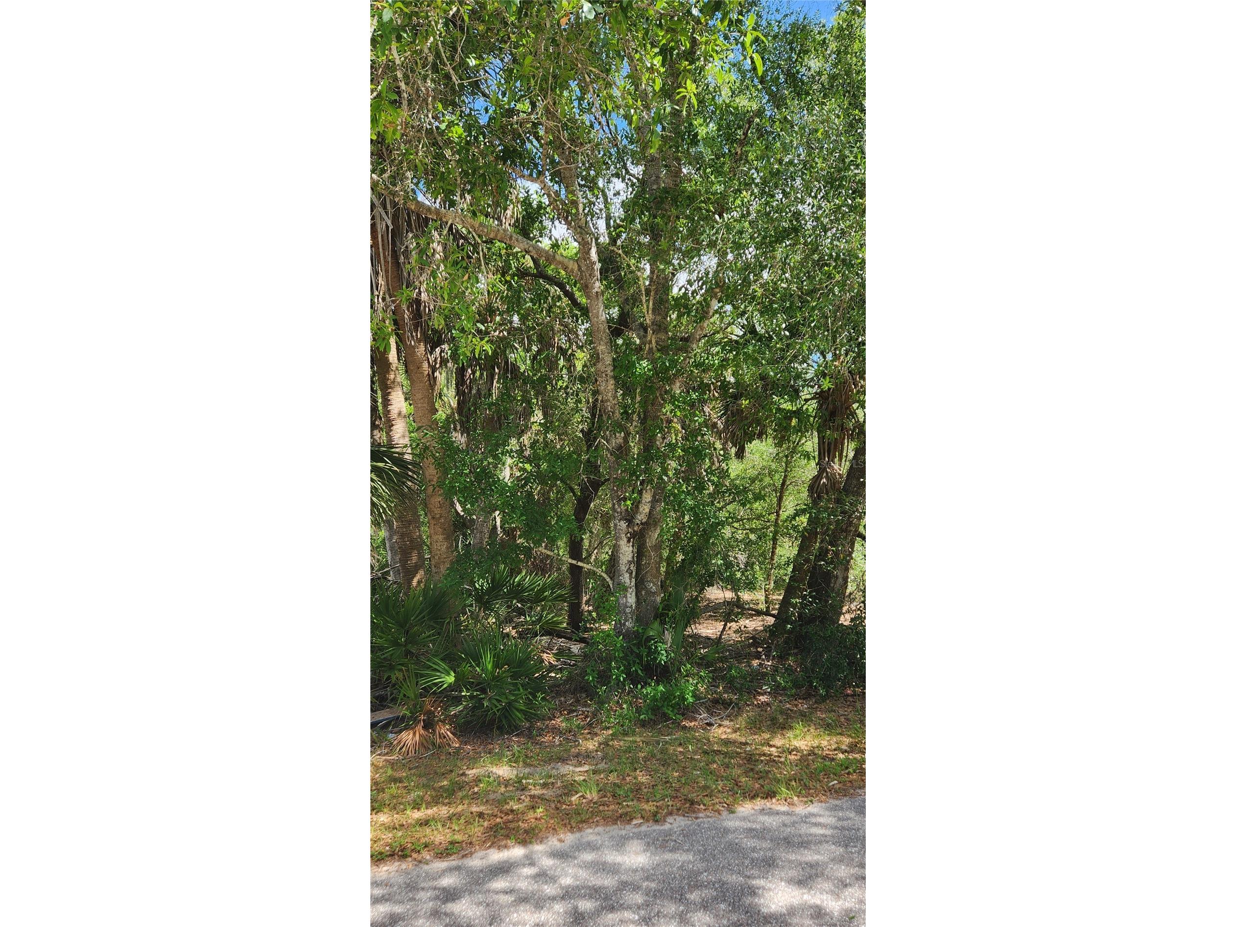 23190 Glen Avenue Punta Gorda FL 33980 C7524719 image3