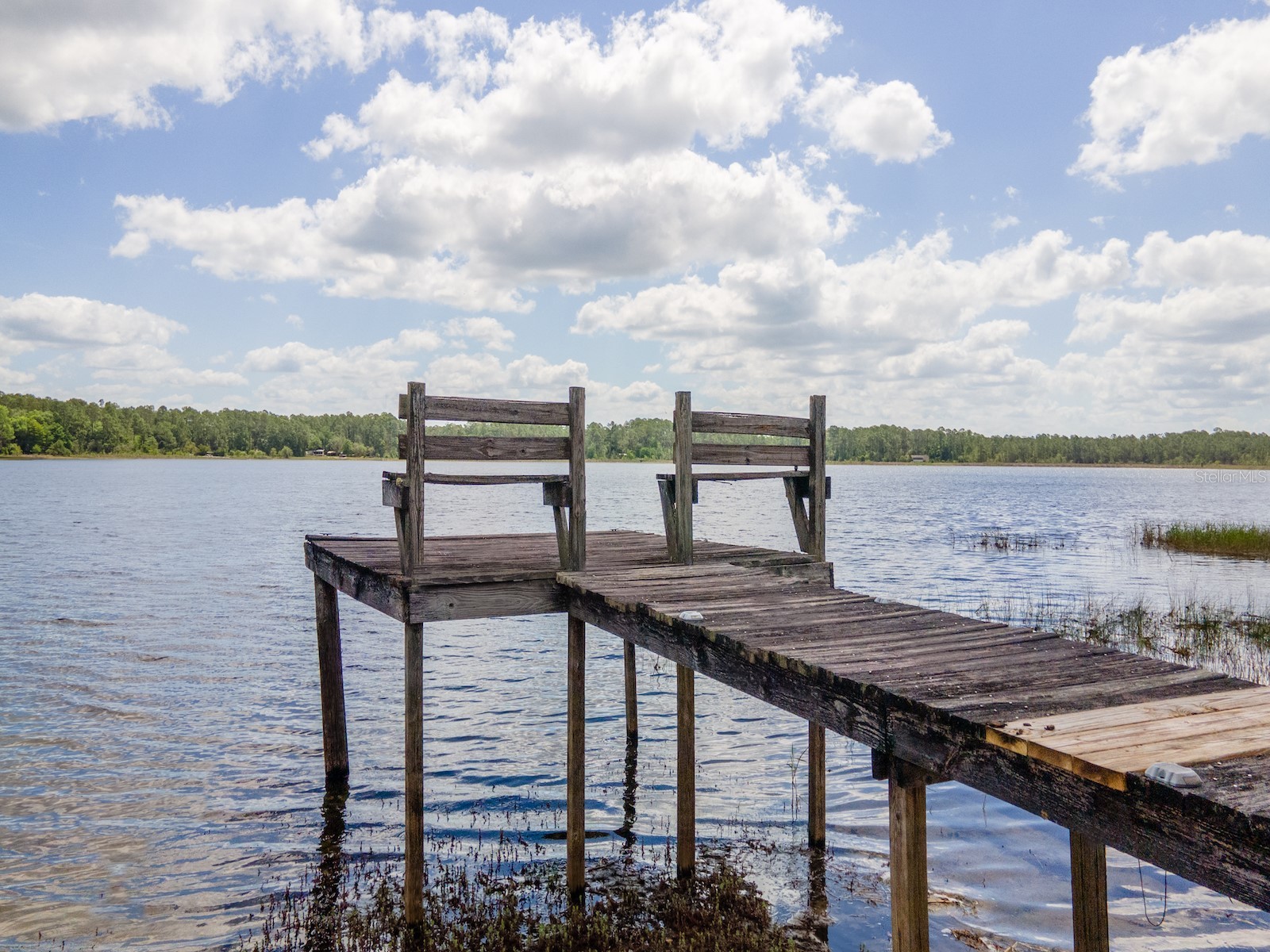 23191 NE 112th Court Road Fort Mc Coy FL 32134 - DEERBACK LAKE OM724914 image36