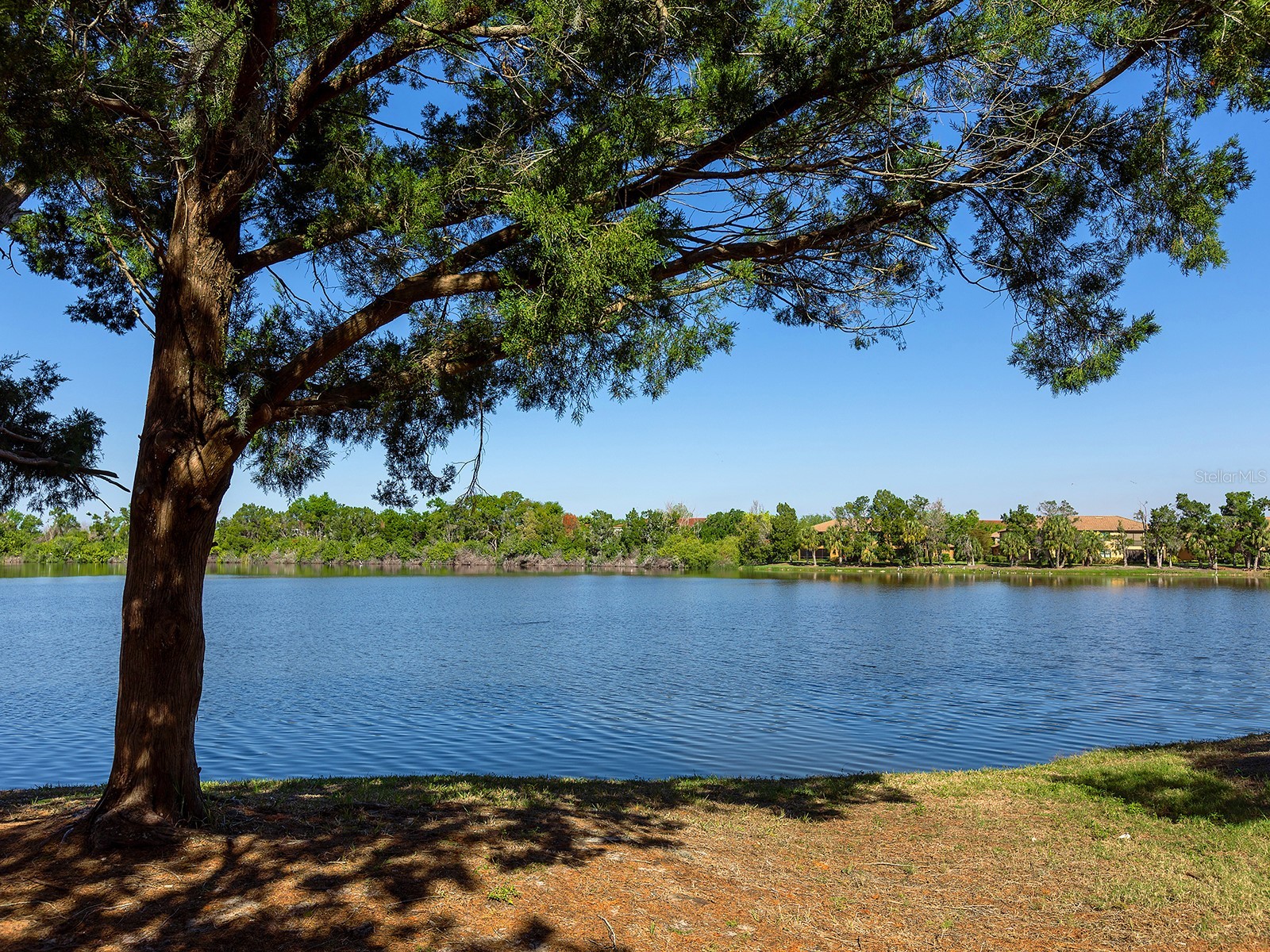 232 Cape Harbour Loop #106 Bradenton FL 34212 A4687815 image1