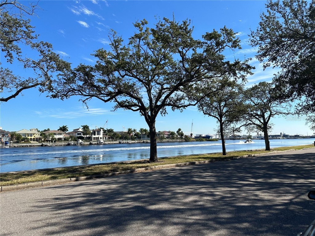 232 Channel Drive Tampa FL 33606 TB8387872 image1