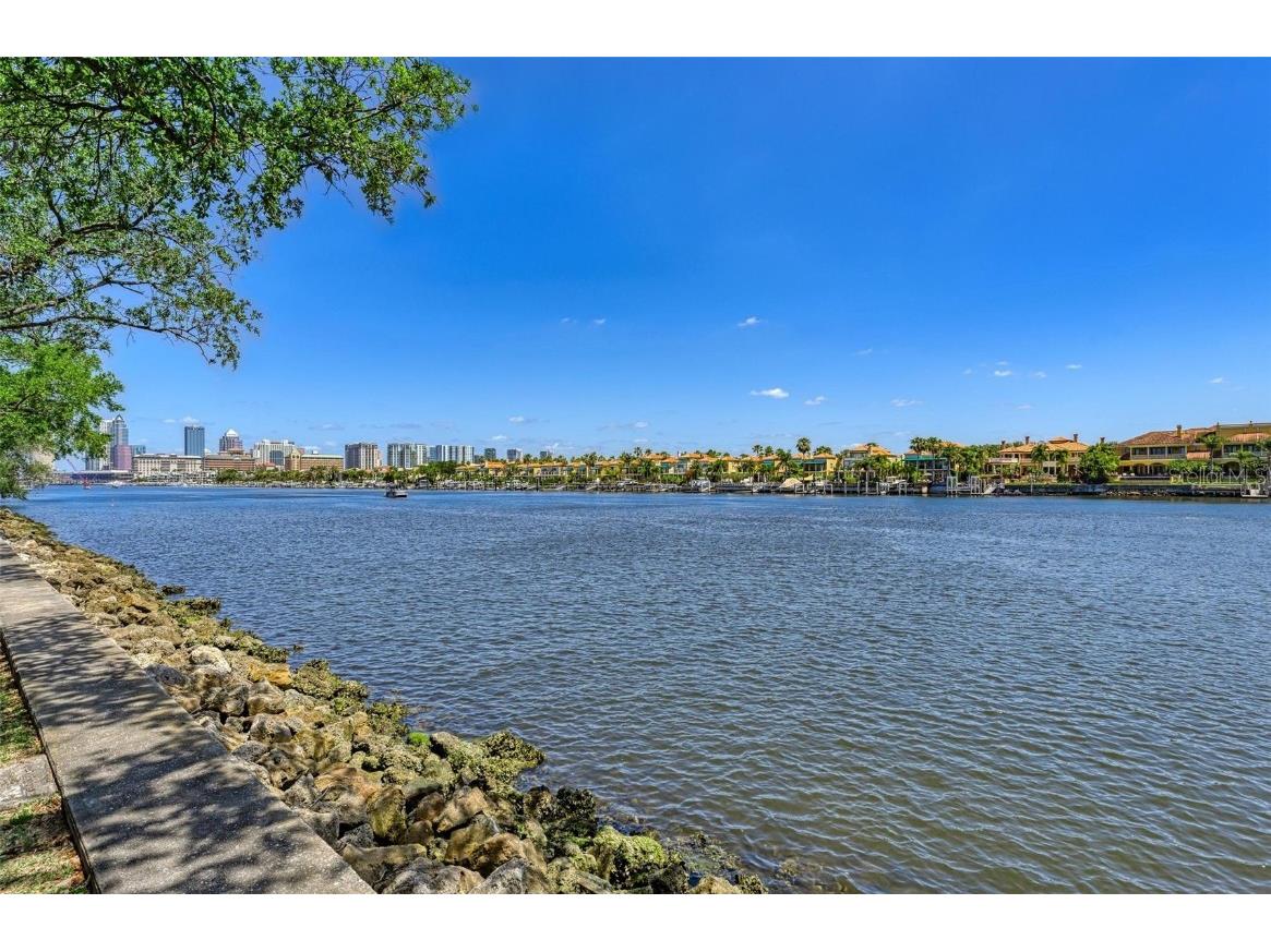 232 Channel Drive Tampa FL 33606 TB8387872 image10