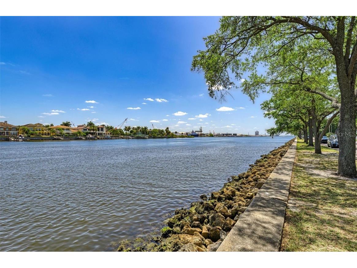 232 Channel Drive Tampa FL 33606 TB8387872 image12