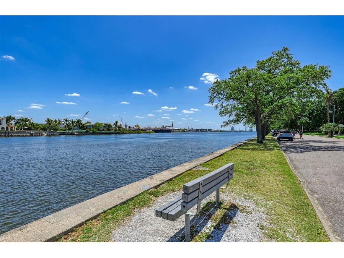 232 Channel Drive Tampa FL 33606 TB8387872 image13