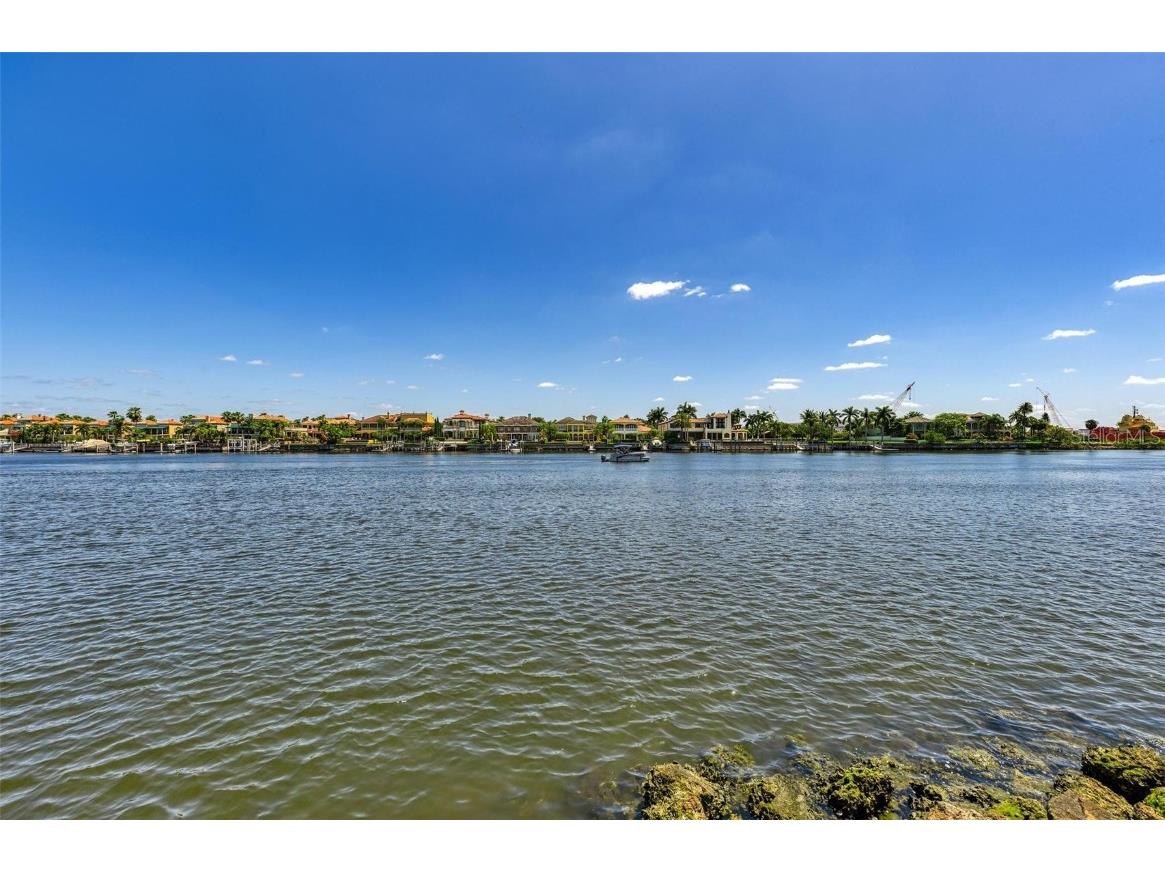 232 Channel Drive Tampa FL 33606 TB8387872 image14