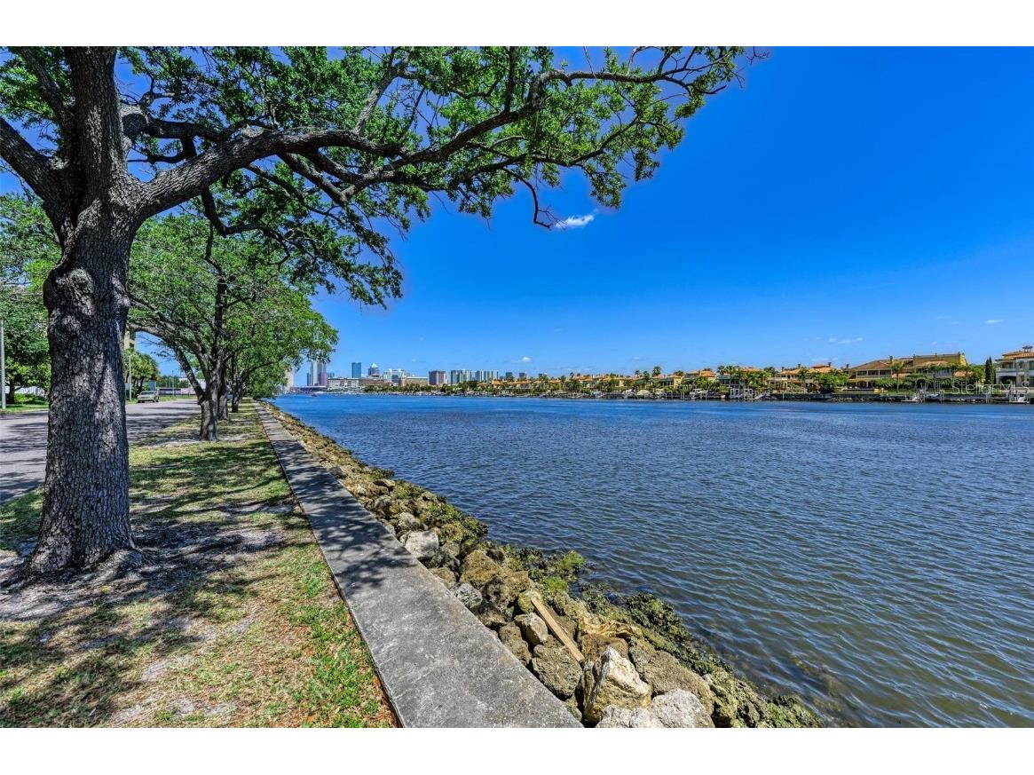 232 Channel Drive Tampa FL 33606 TB8387872 image16