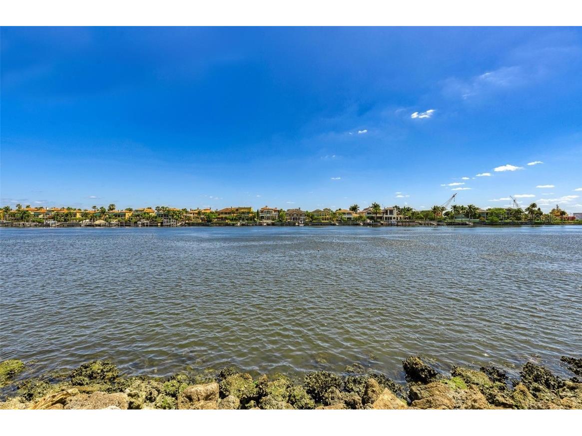 232 Channel Drive Tampa FL 33606 TB8387872 image17