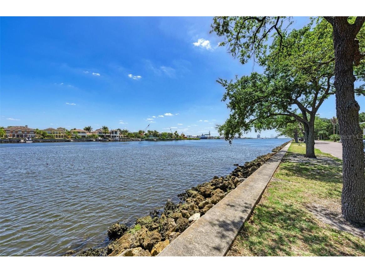 232 Channel Drive Tampa FL 33606 TB8387872 image18