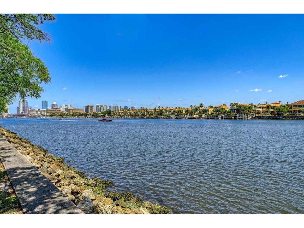 232 Channel Drive Tampa FL 33606 TB8387872 image19