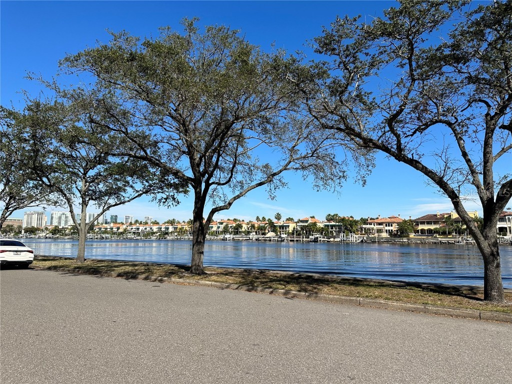 232 Channel Drive Tampa FL 33606 TB8387872 image9