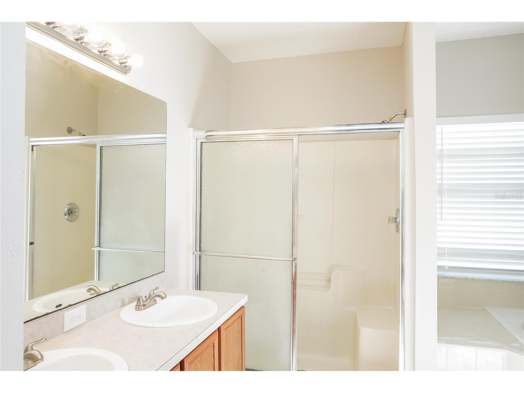 232 Cobalt Drive Kissimmee FL 34758 TB8513338 image7