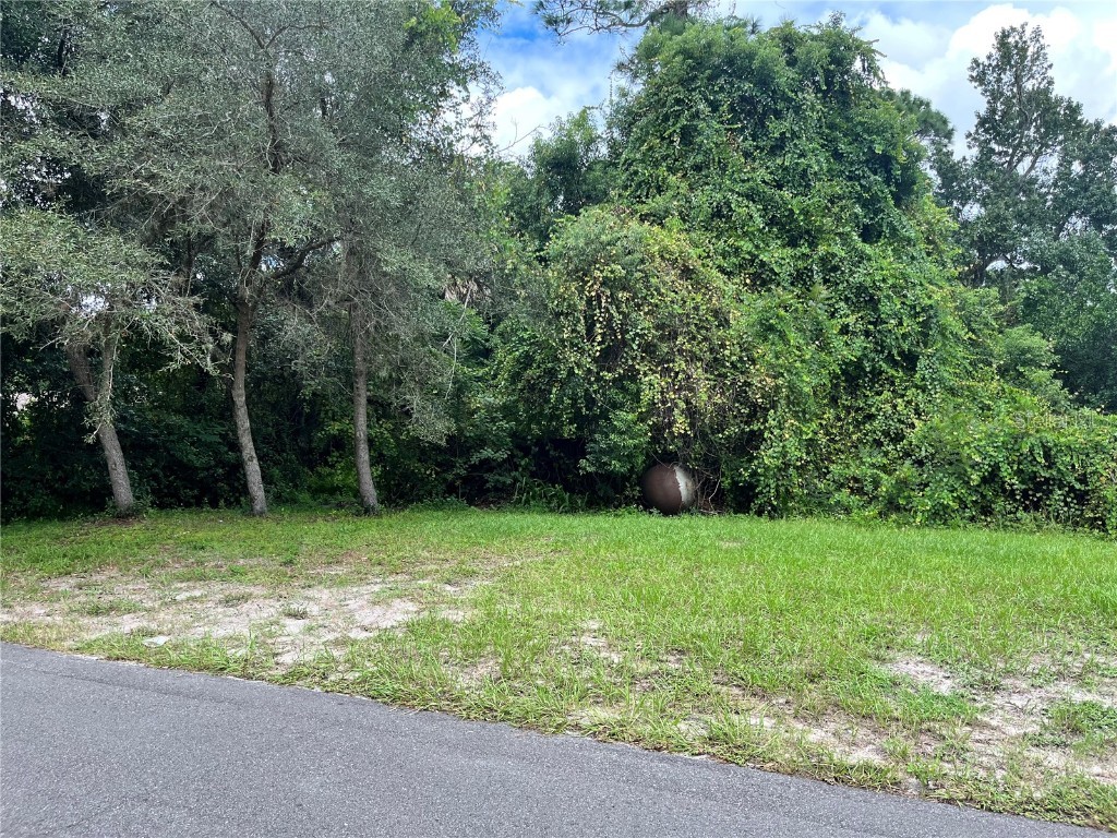 232 Colomba Road Debary FL 32713 V4932453 image1