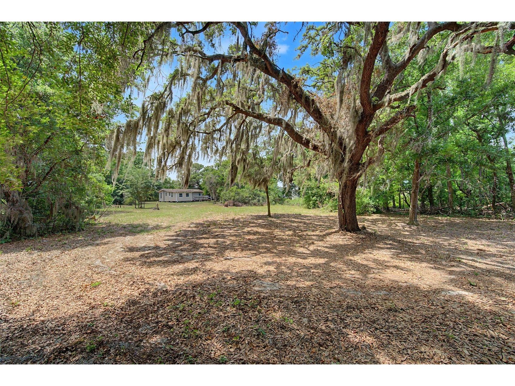 232 Cutrone Road Winter Haven FL 33880 TB8505344 image41