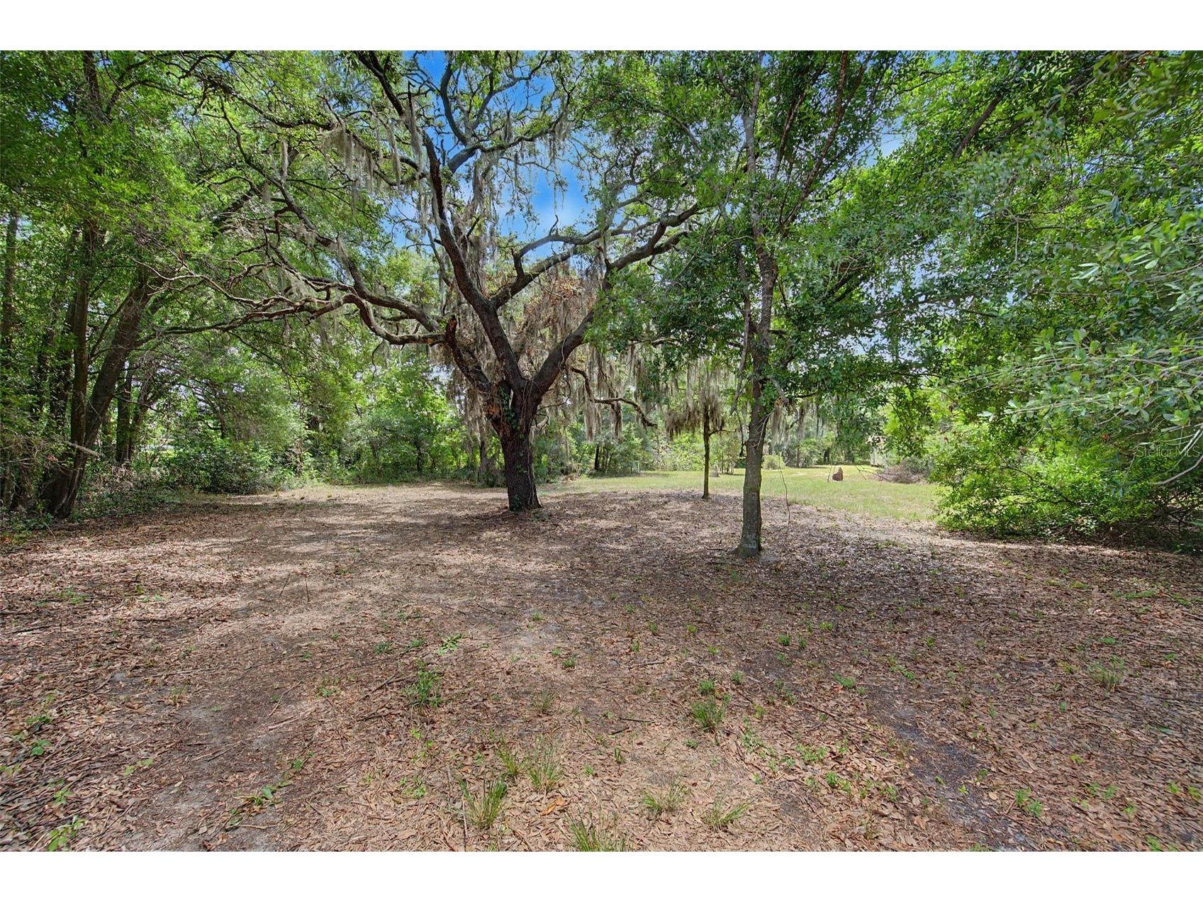 232 Cutrone Road Winter Haven FL 33880 TB8505344 image42
