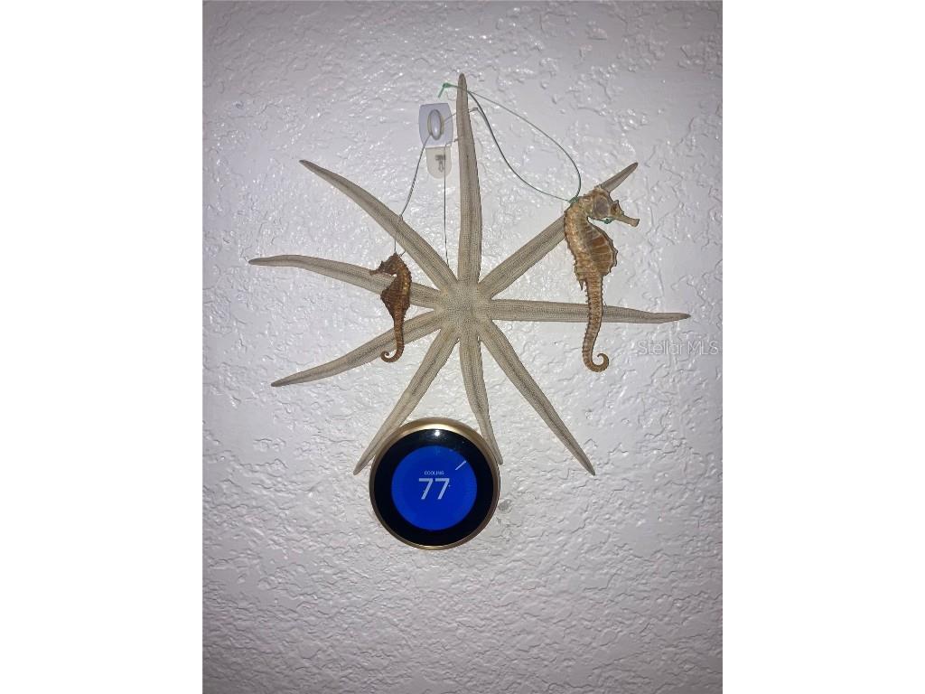 232 Darst Avenue Punta Gorda FL 33950 C7512063 image80