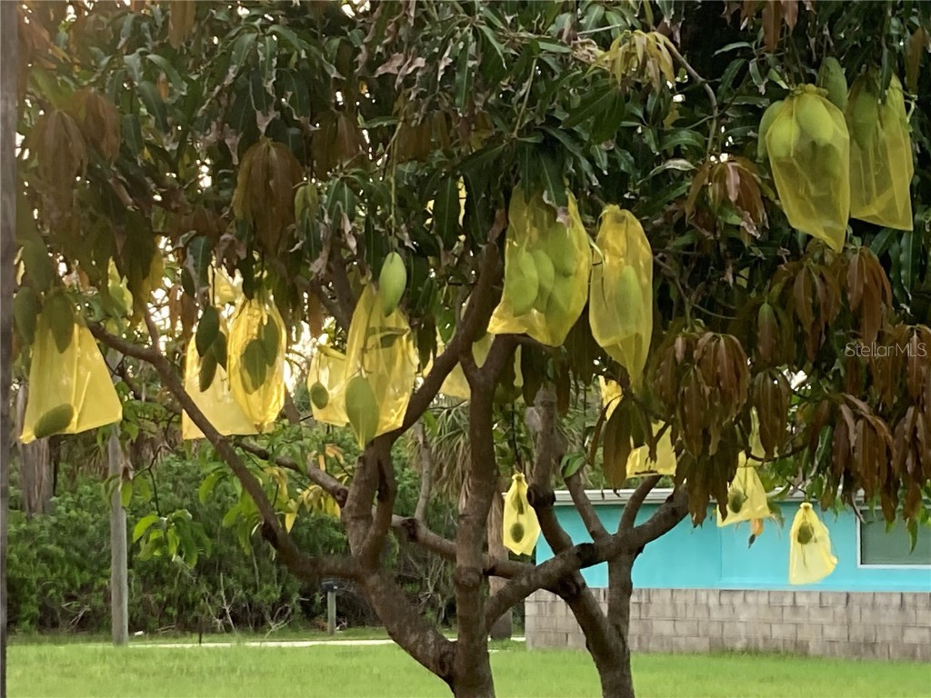 232 Darst Avenue Punta Gorda FL 33950 C7512063 image93