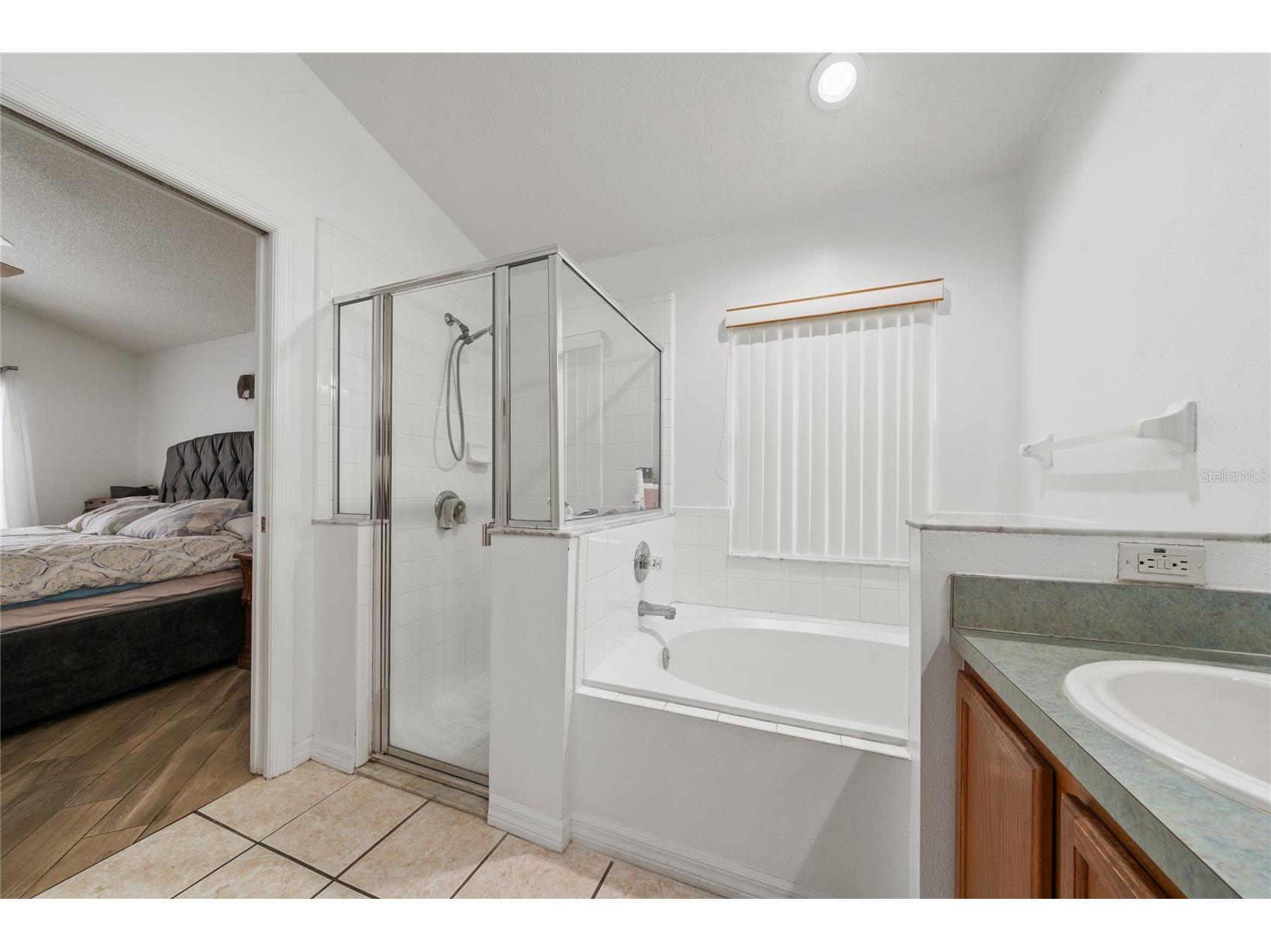232 Lake Shore Parkway Davenport FL 33896 S5150091 image16