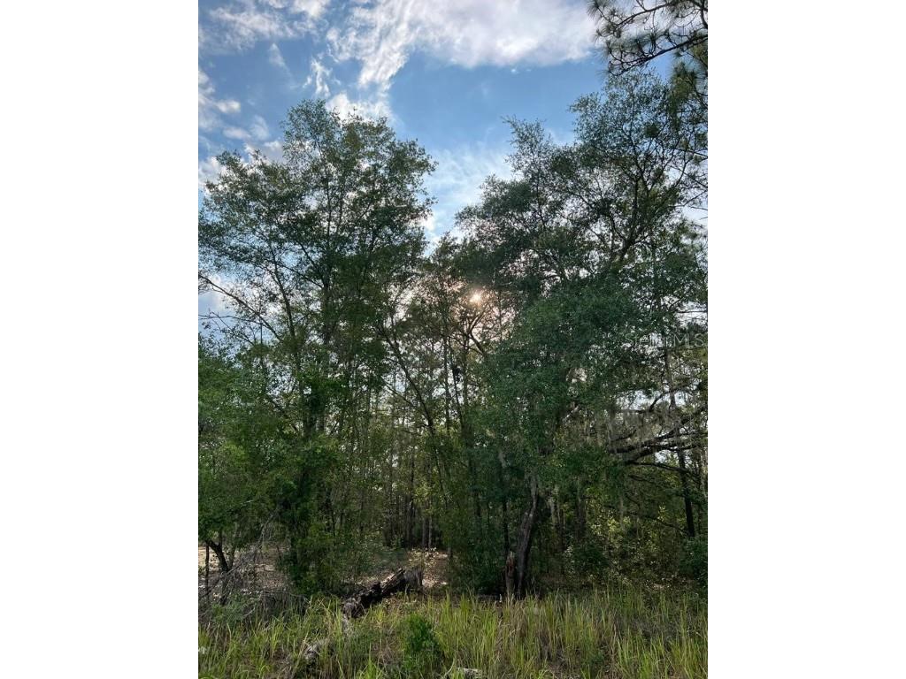 232 Locust Pass Lane Ocala FL 34472 T3449072 image1