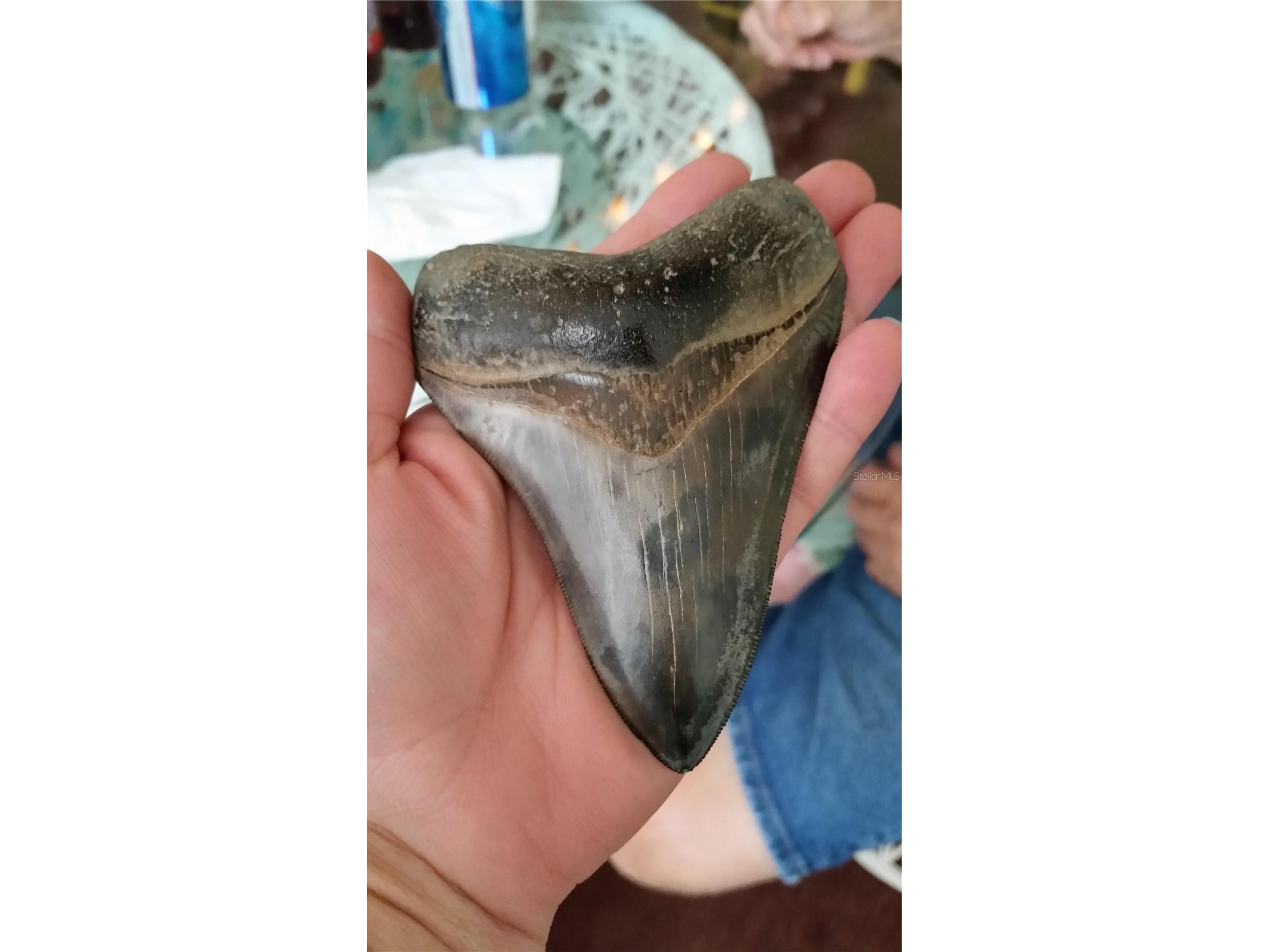 232 Mark Twain Lane Rotonda West FL 33947 - ROTONDA WATERWAY D6145419 image23