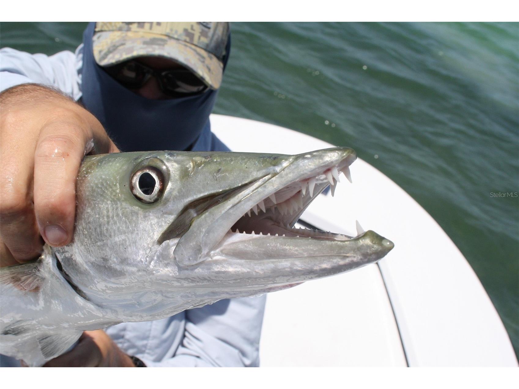 232 Mark Twain Lane Rotonda West FL 33947 - ROTONDA WATERWAY D6145419 image76