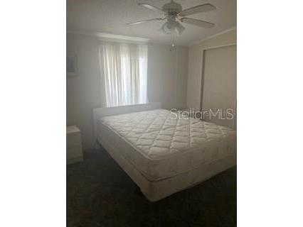 232 Nesbitt Park Avenue Davenport FL 33897 S5142306 image3