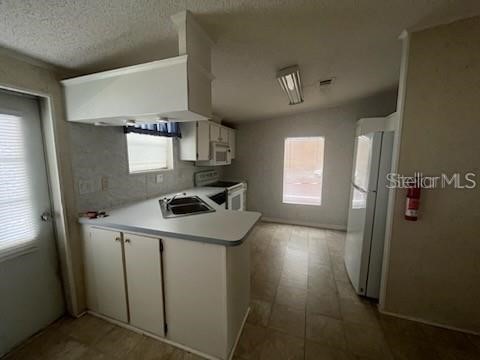 232 Nesbitt Park Avenue Davenport FL 33897 S5142306 image4