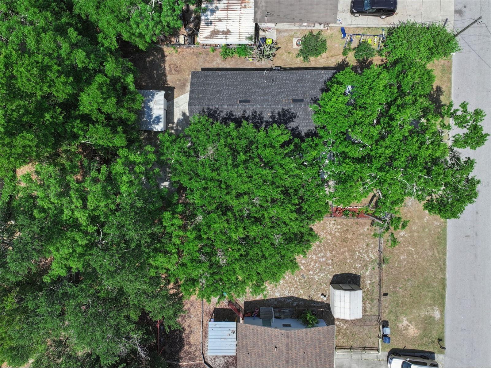232 Noxon Street Auburndale FL 33823 O6395443 image39