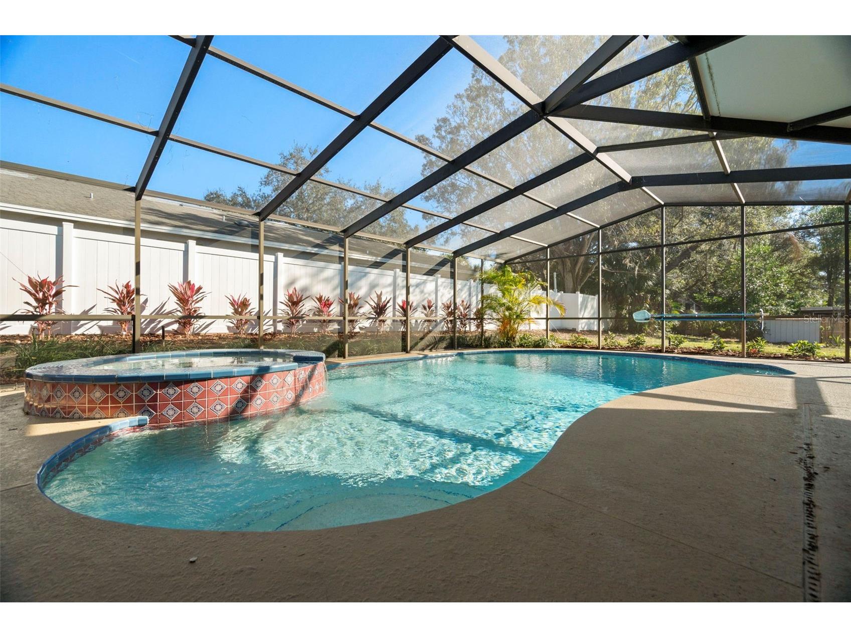 232 Pinecrest Drive Palm Harbor FL 34683 TB8474296 image28