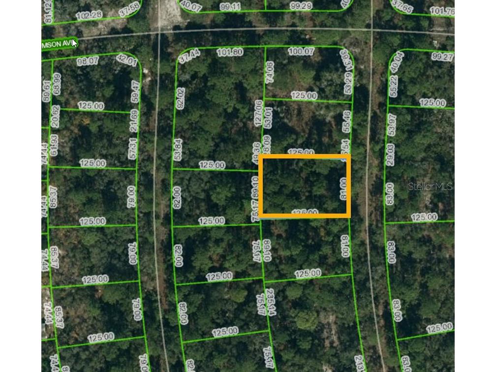 232 Rainbow Drive Lake Placid FL 33852 T3411991 image1