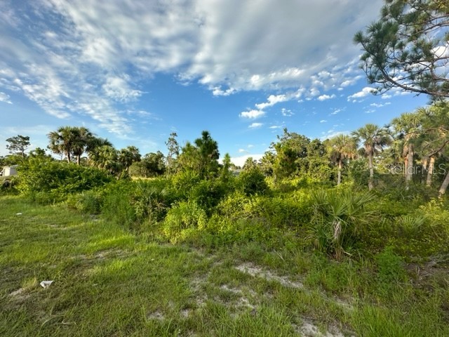 232 Ravenswood Boulevard Port Charlotte FL 33954 N6127352 image1
