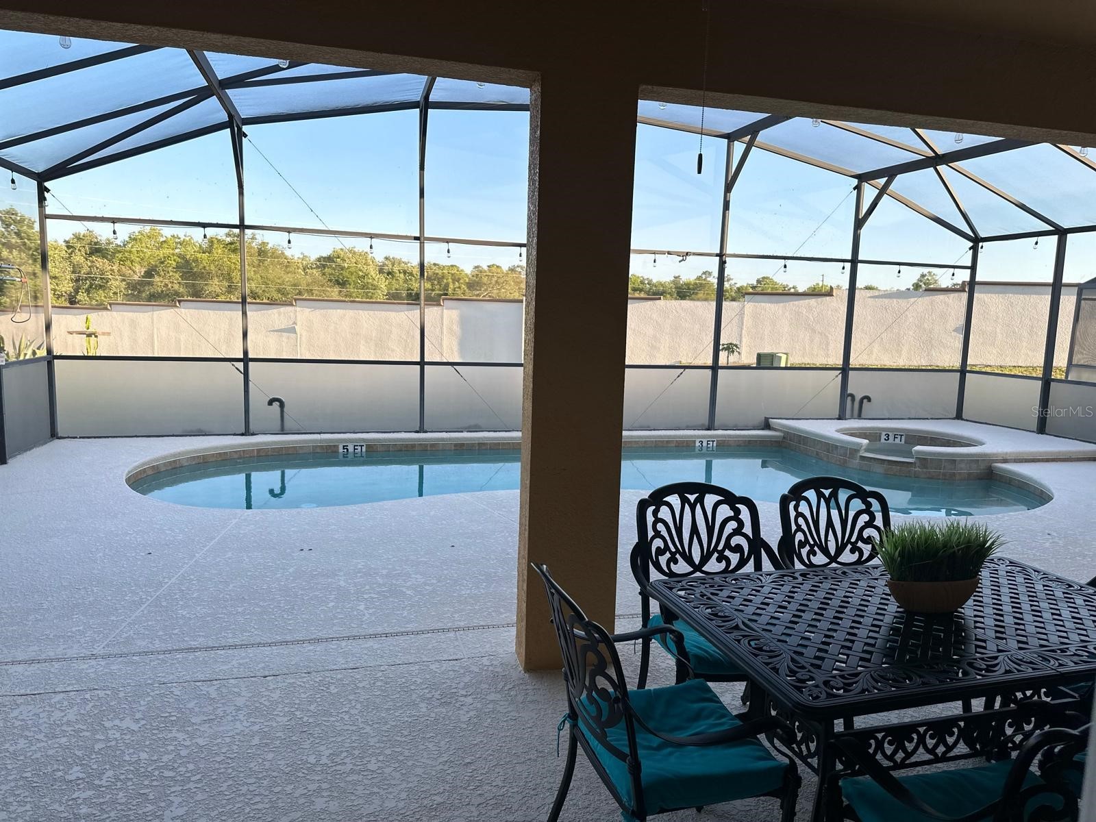 232 Rubino Drive Davenport FL 33837 O6403178 image22