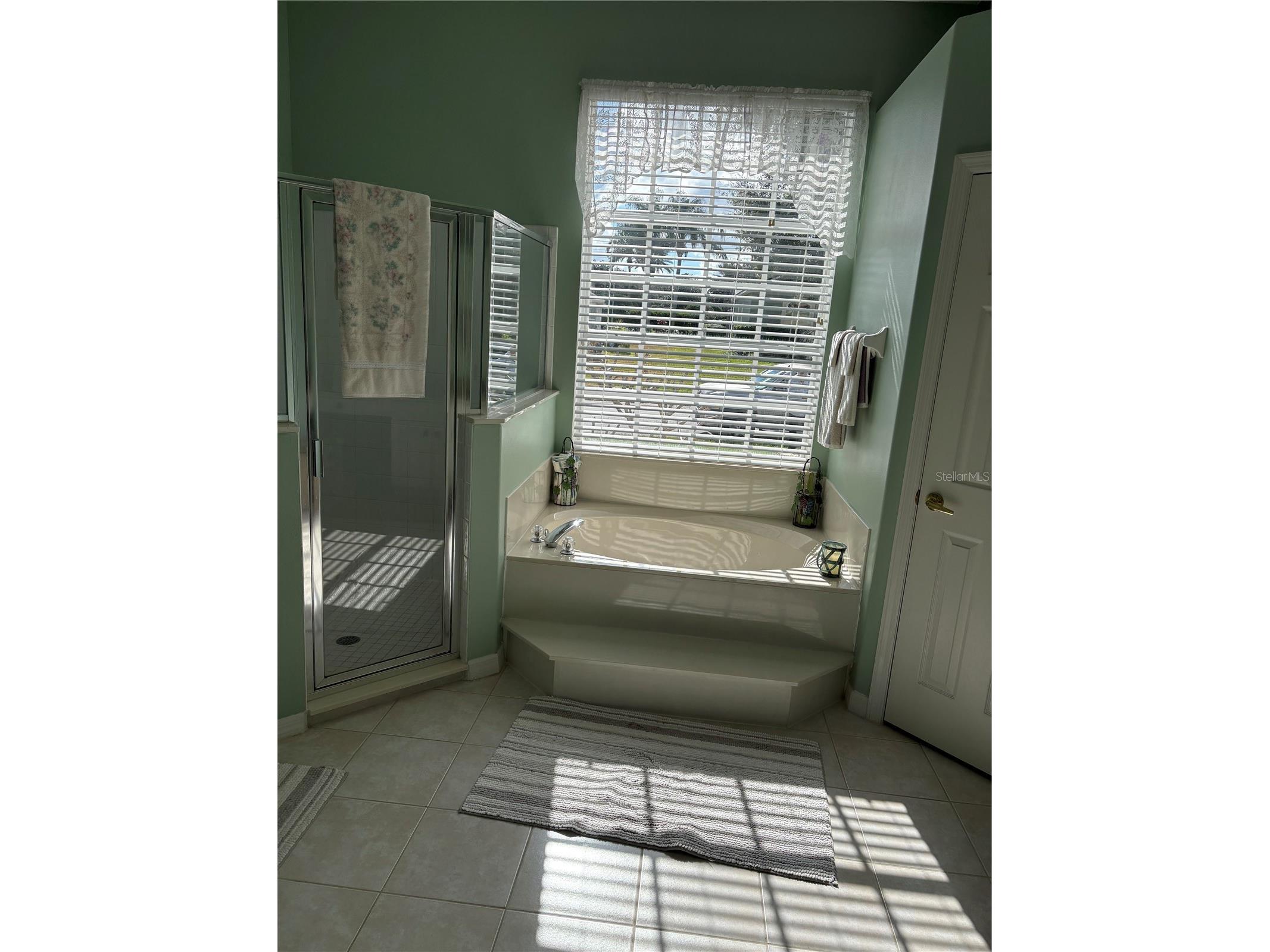 232 Via Mariel East Drive Davenport FL 33896 G5106499 image19