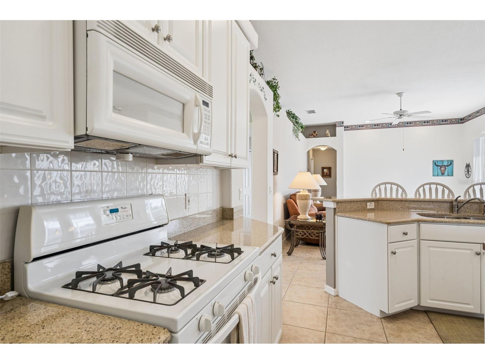 232 Via Mariel East Drive Davenport FL 33896 O6418014 image16