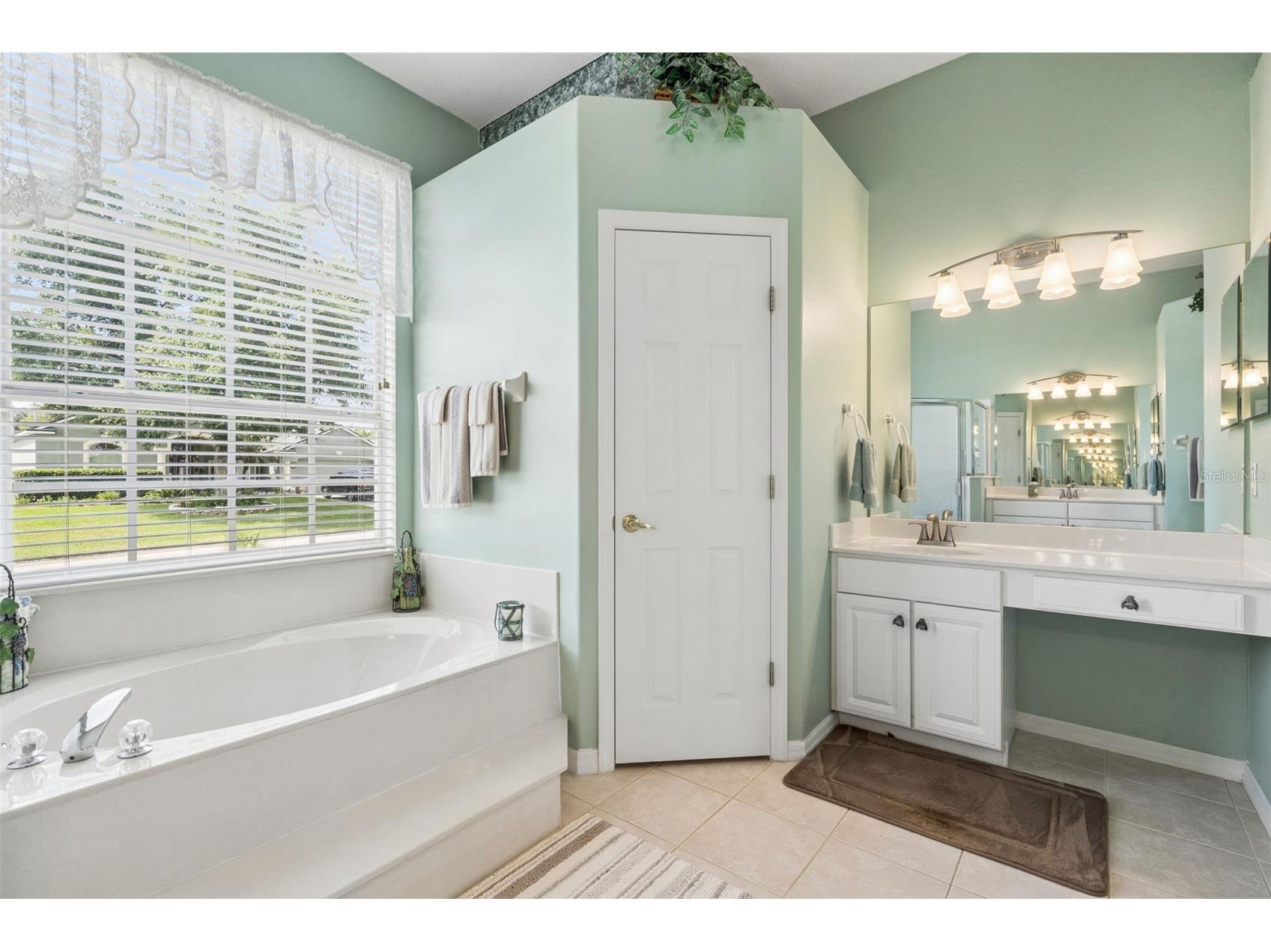 232 Via Mariel East Drive Davenport FL 33896 O6418014 image30