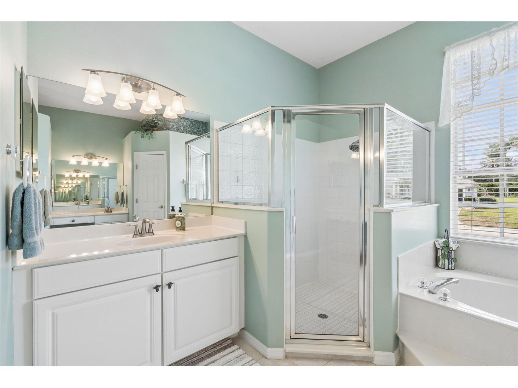 232 Via Mariel East Drive Davenport FL 33896 O6418014 image32