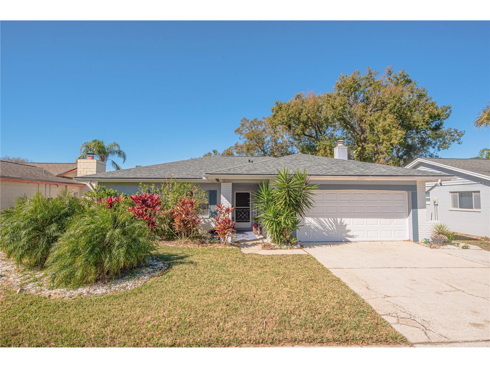 2320 Citrus Hill Road Palm Harbor FL 34683 TB8473299 image34