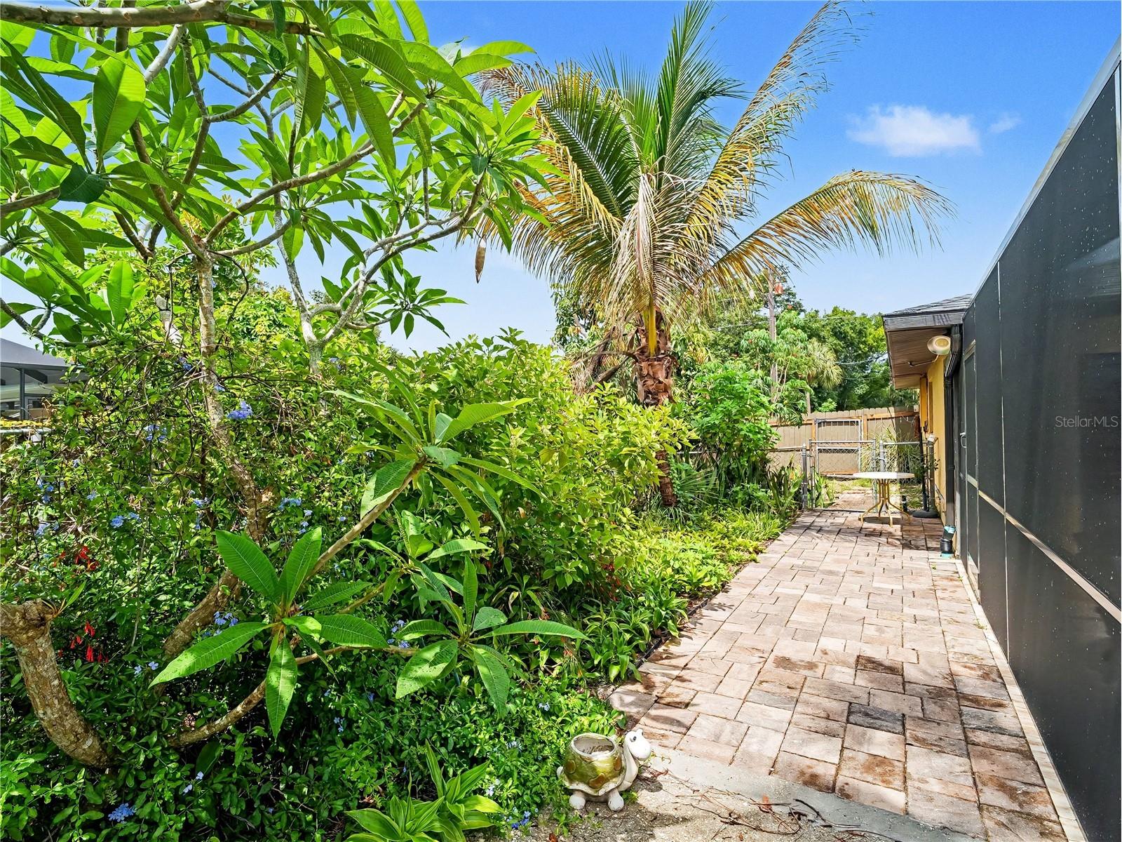 2320 Lake Shore Drive Nokomis FL 34275 N6144512 image43