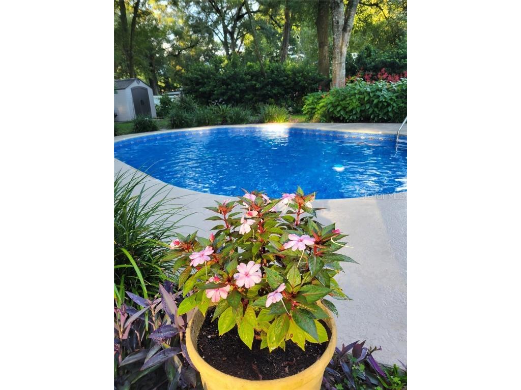 2320 NE 43rd Street Ocala FL 34479 O6322536 image1