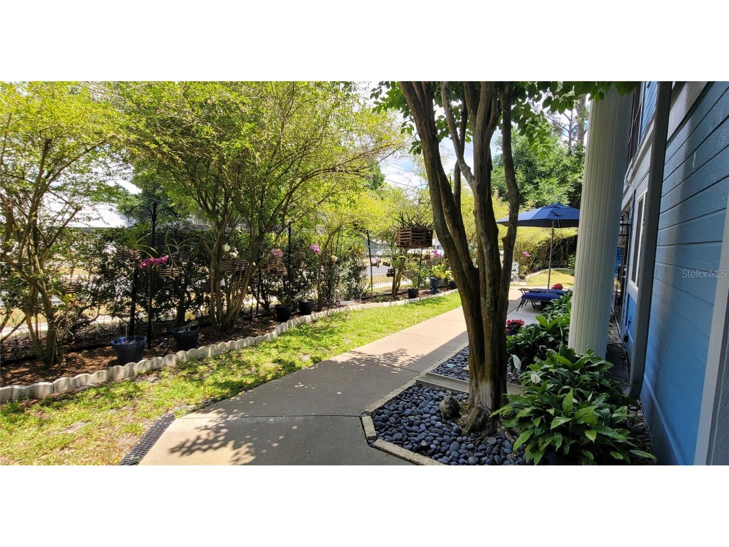 2320 Oak Park Way #204 Orlando FL 32822 O6164640 image1