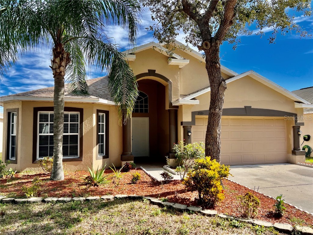 2320 Roanoke Springs Drive Ruskin FL 33570 O6172529 image1