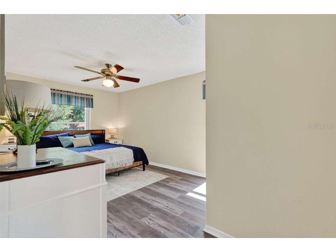 2320 Shelly Drive #B Palm Harbor FL 34684 C7515964 image19