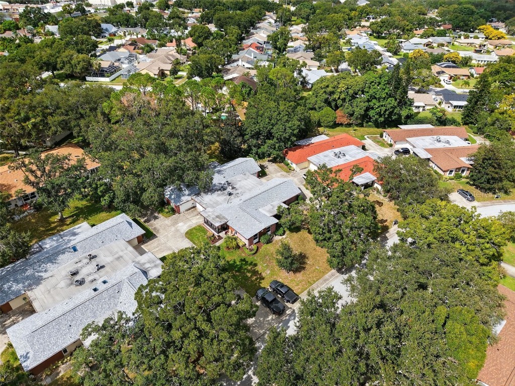 2320 Shelly Drive #B Palm Harbor FL 34684 C7515964 image4