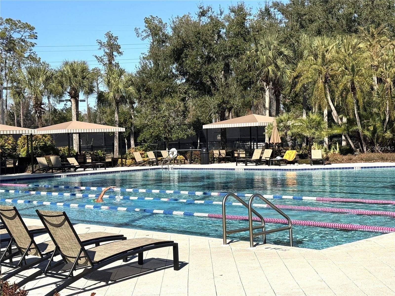 2320 Spring Hollow Loop Wesley Chapel FL 33544 TB8512307 image28