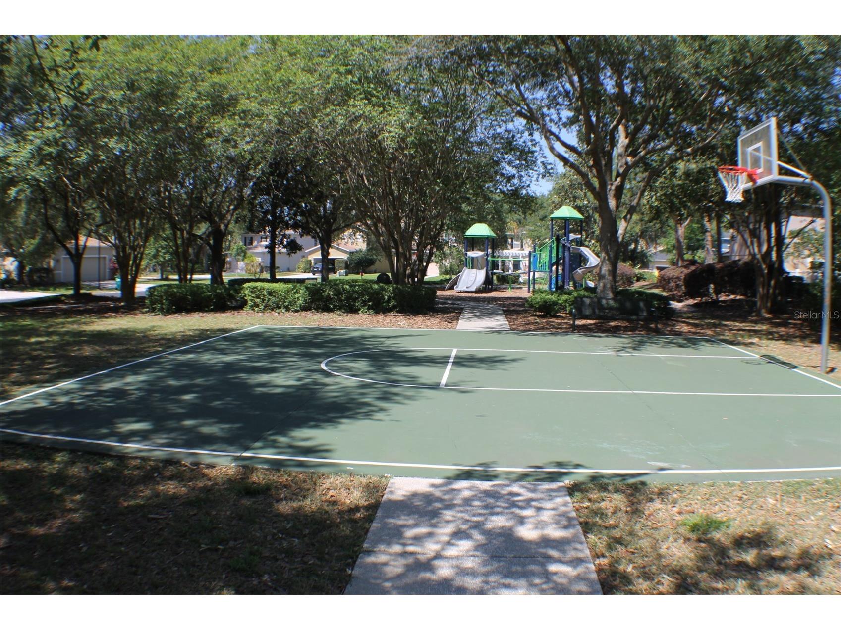 2320 Spring Hollow Loop Wesley Chapel FL 33544 TB8512307 image3