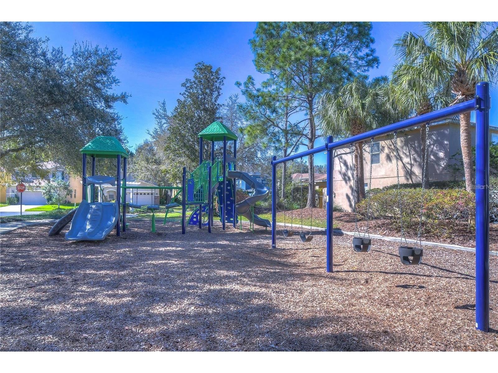2320 Spring Hollow Loop Wesley Chapel FL 33544 TB8512307 image4