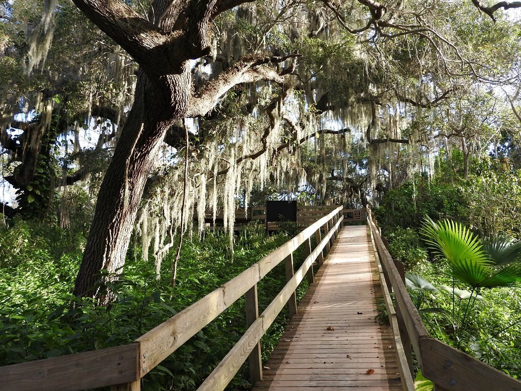 2320 Terra Ceia Bay Boulevard #108 Palmetto FL 34221 - TERRA CEIA BAY A4692946 image47