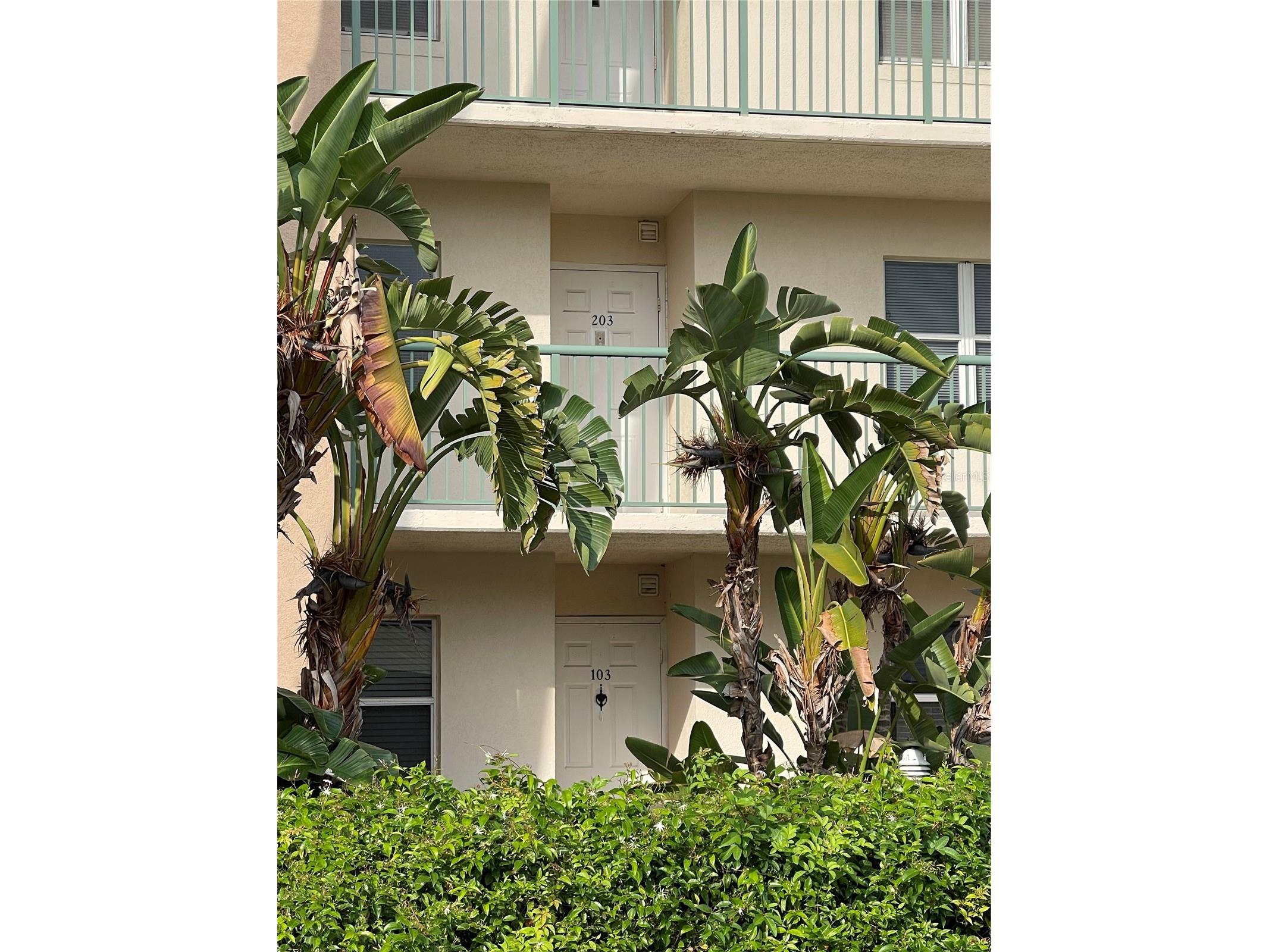 2320 Terra Ceia Bay Boulevard #203 Palmetto FL 34221 - TERRA CEIA BAY A4611729 image46