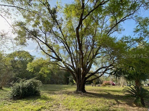 23206 NW 102 Nd Avenue Alachua FL 32615 GC529523 image10