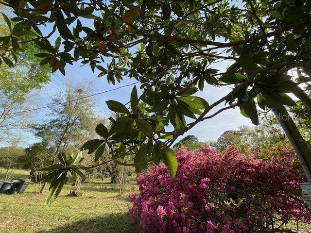 23206 NW 102 Nd Avenue Alachua FL 32615 GC529523 image11