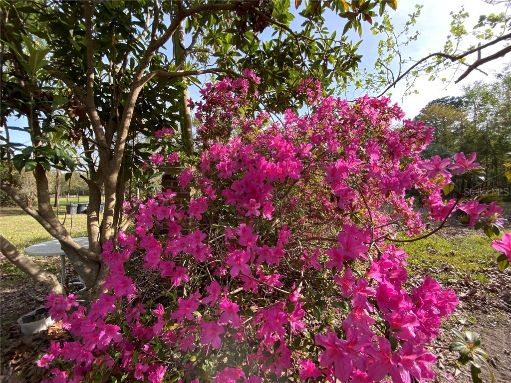 23206 NW 102 Nd Avenue Alachua FL 32615 GC529523 image12